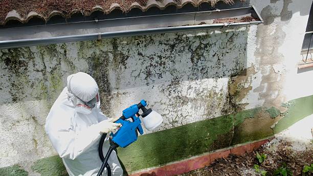 Trusted Mold Inspection service in Centreville, VA - Cheap Mold Removal